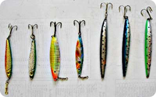 Shore-fishing-lightweightji.jpg Shore-fishing-lightweightji.jpg