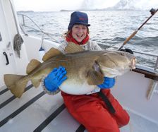 March-2016-24.5-kg-cod
