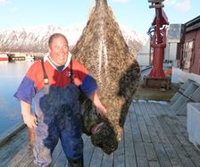 colin-searles-halibut.-155kg