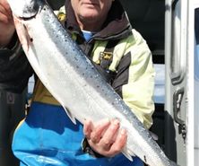 June 2020 - nice,3kg salmon