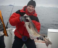 4.5kg-haddock