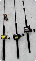 rods-005.jpg rods-005.jpg