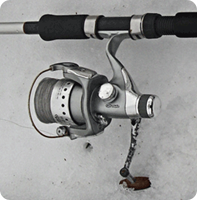 shore-reels4.gif